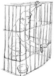 酷刑演示：铁笼子